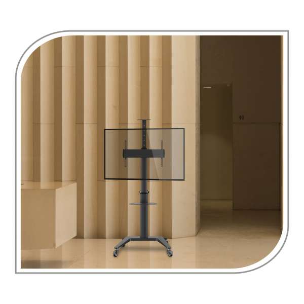 PureMounts® Premium TV Cart - Single Display bis 70", schwarz