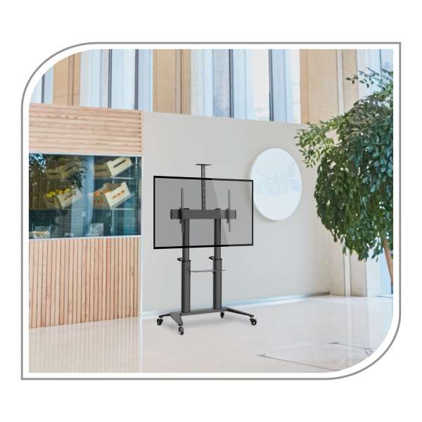 PureMounts® Premium TV Cart - Single Display bis 120", schwarz