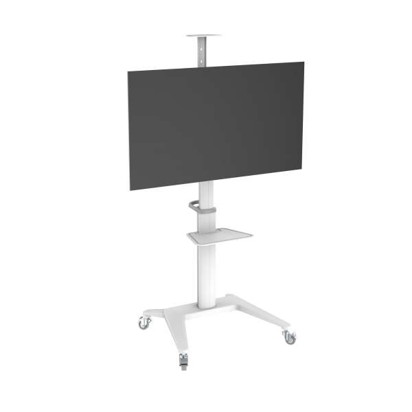 PureMounts® Premium TV Cart - Single Display bis 70", weiß